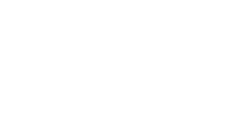 The Forest Studio 